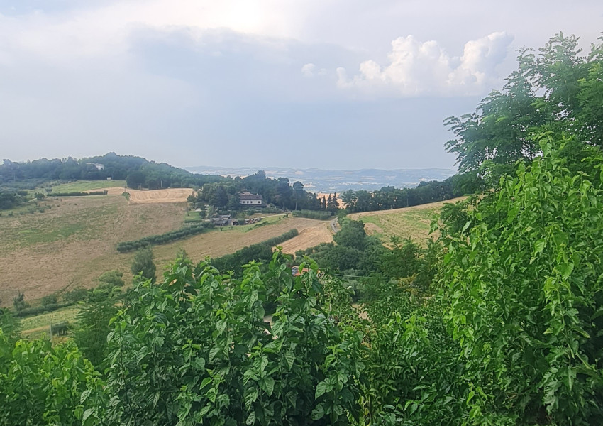 Pesaro, zona Ginestreto - Rustico / Soluz. in Campagna in Vendita | Foto 6